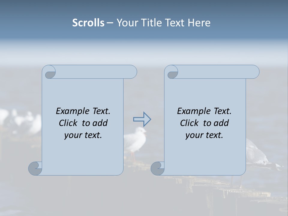 Blackheaded Beach Wooden PowerPoint Template