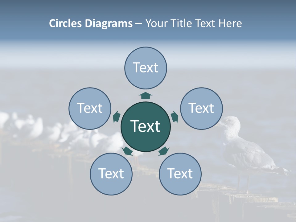 Blackheaded Beach Wooden PowerPoint Template