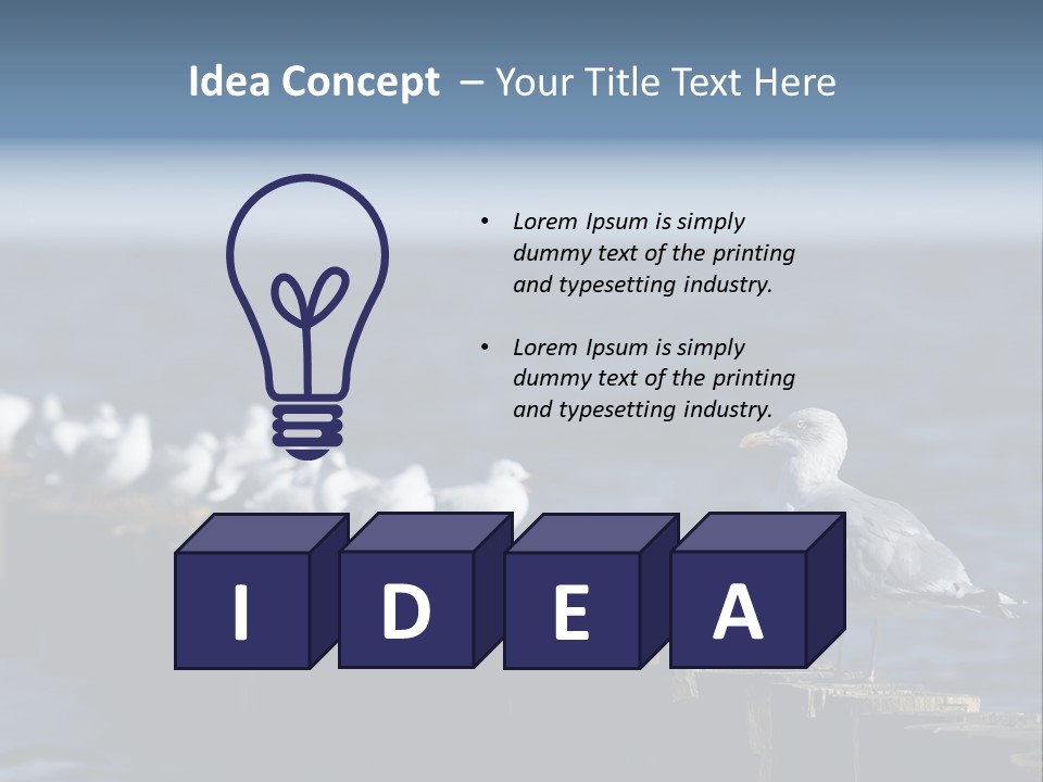 Blackheaded Beach Wooden PowerPoint Template