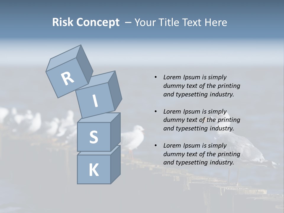 Blackheaded Beach Wooden PowerPoint Template