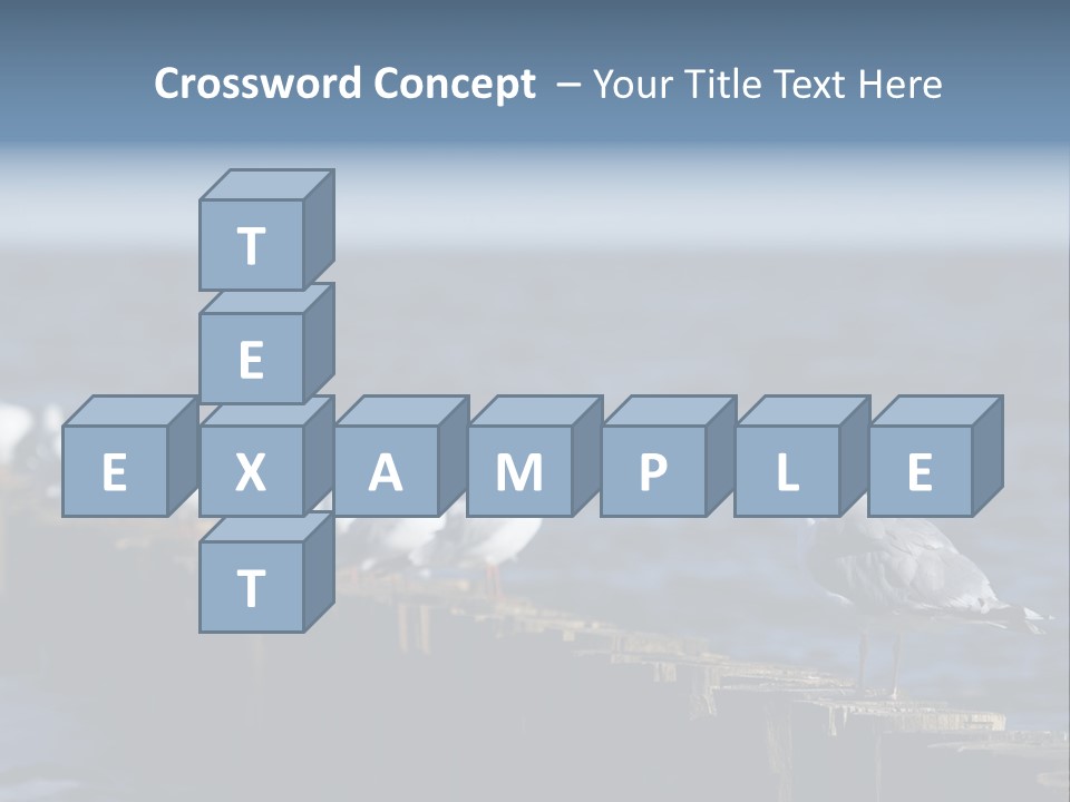 Blackheaded Beach Wooden PowerPoint Template