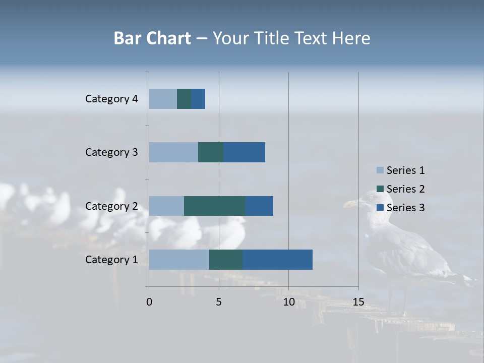 Blackheaded Beach Wooden PowerPoint Template