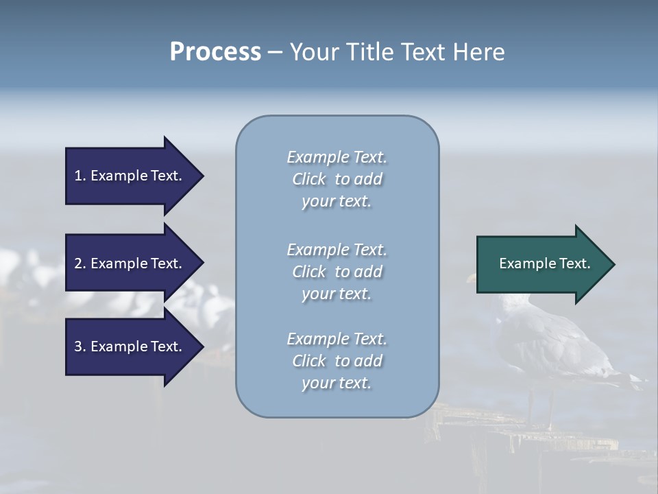 Blackheaded Beach Wooden PowerPoint Template