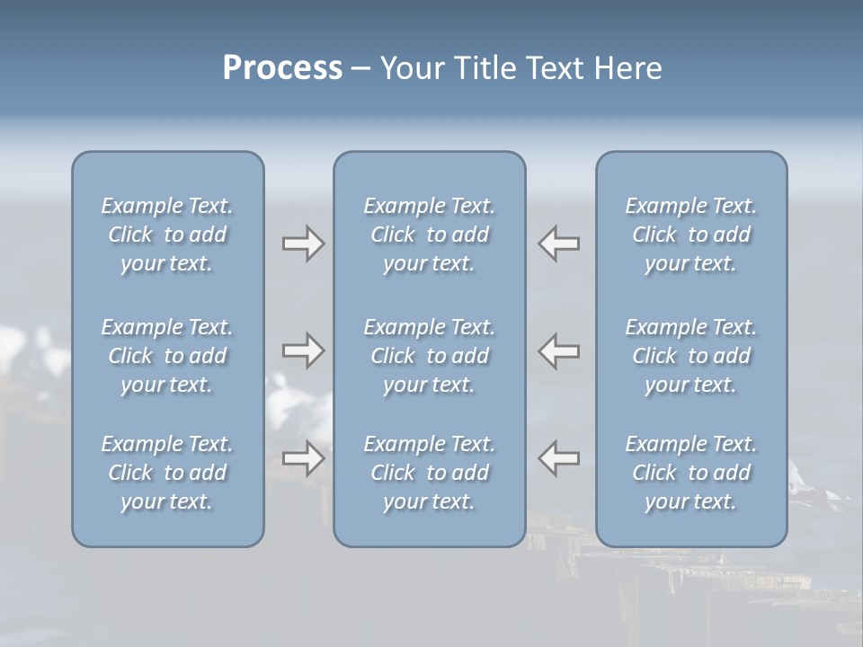 Blackheaded Beach Wooden PowerPoint Template