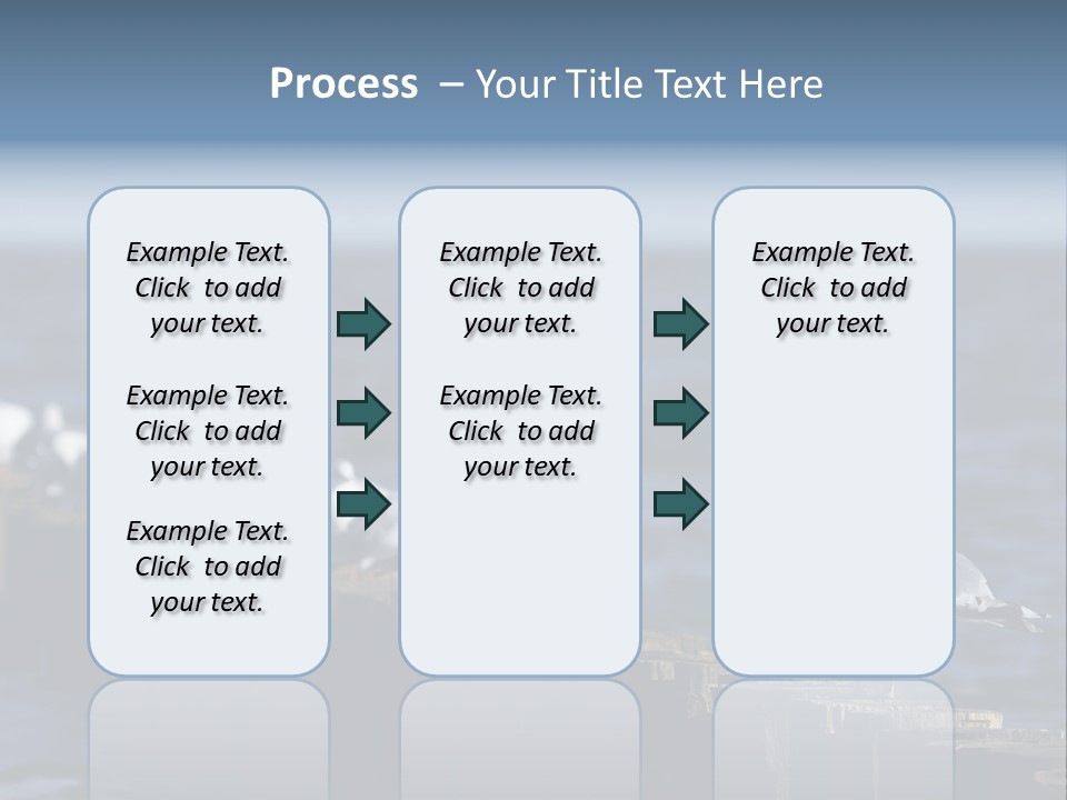 Blackheaded Beach Wooden PowerPoint Template