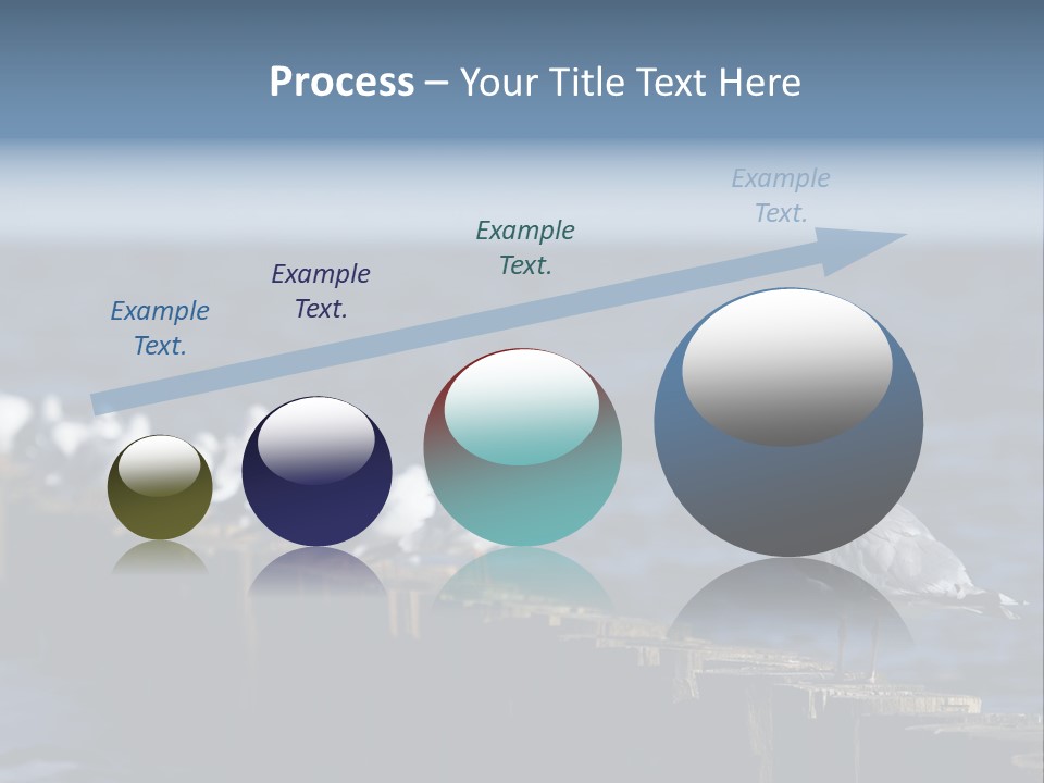 Blackheaded Beach Wooden PowerPoint Template