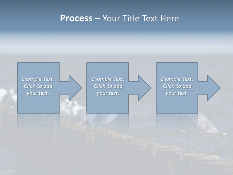 Blackheaded Beach Wooden PowerPoint Template