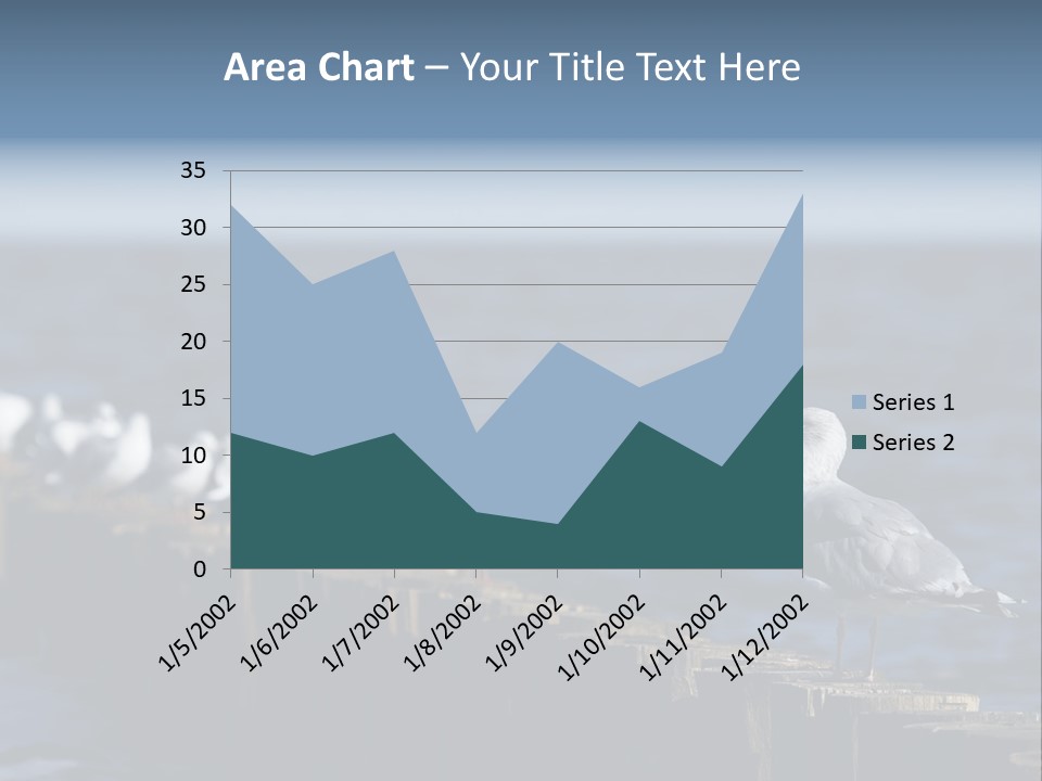 Blackheaded Beach Wooden PowerPoint Template