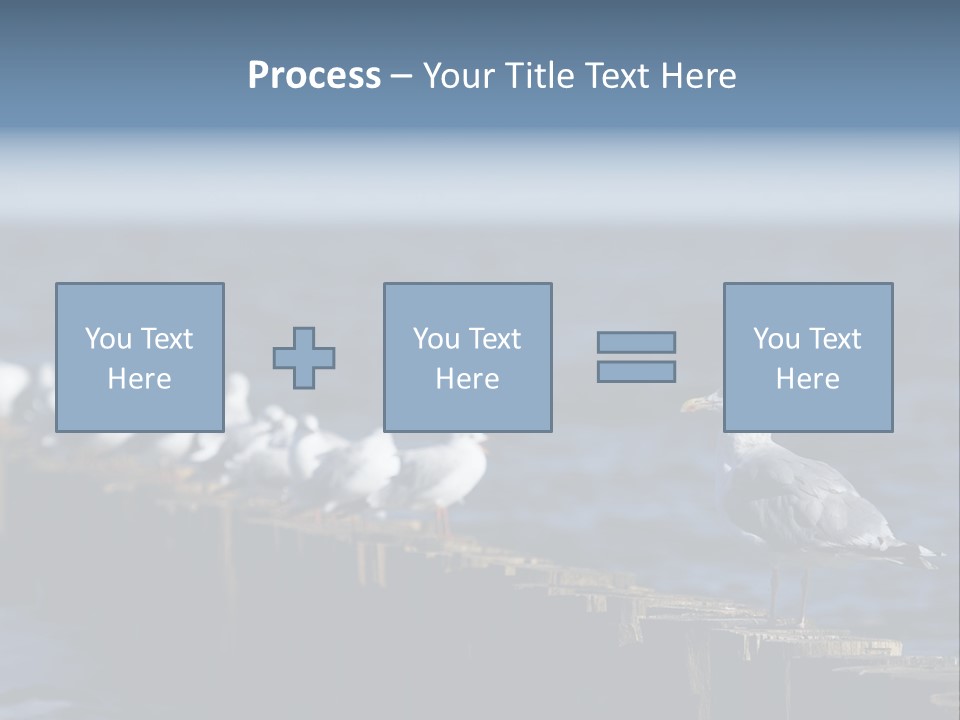 Blackheaded Beach Wooden PowerPoint Template