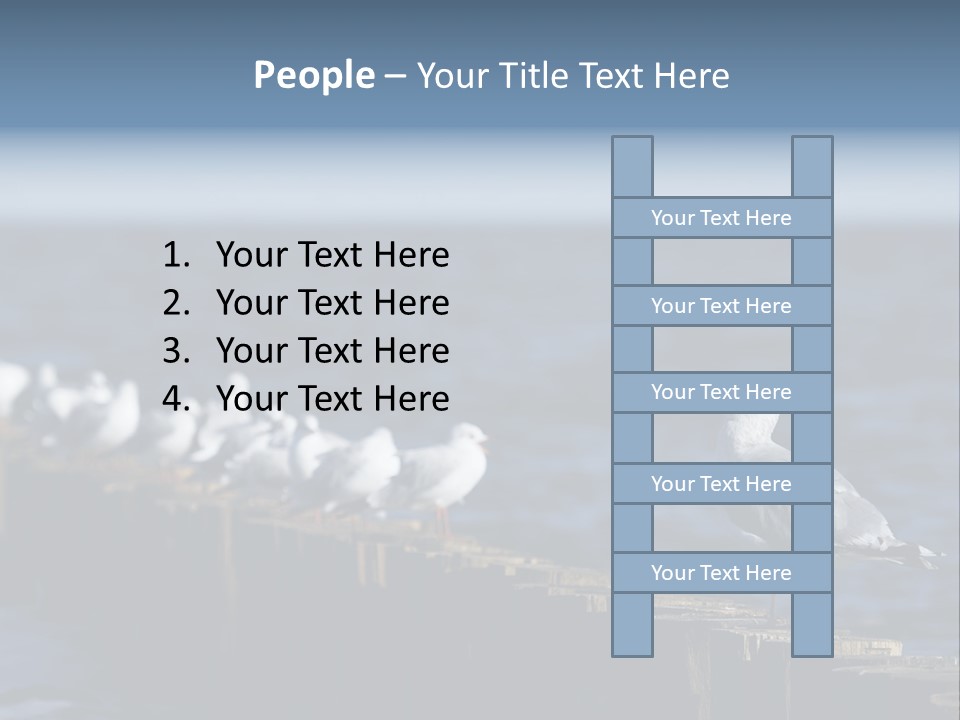 Blackheaded Beach Wooden PowerPoint Template