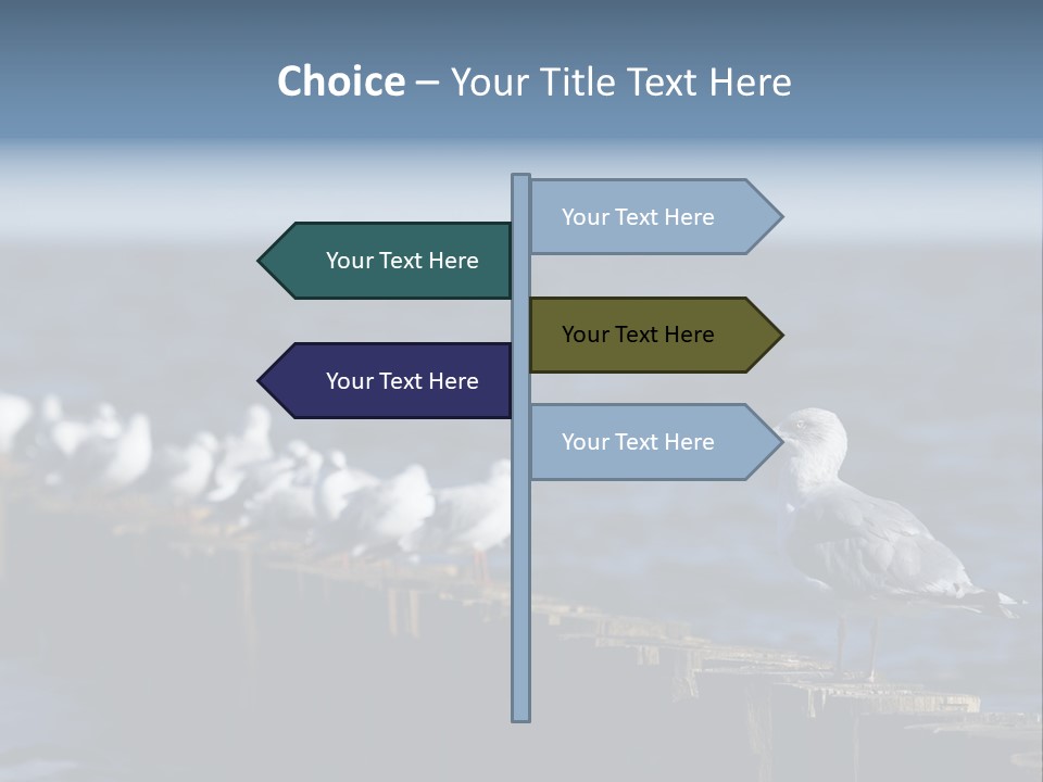 Blackheaded Beach Wooden PowerPoint Template