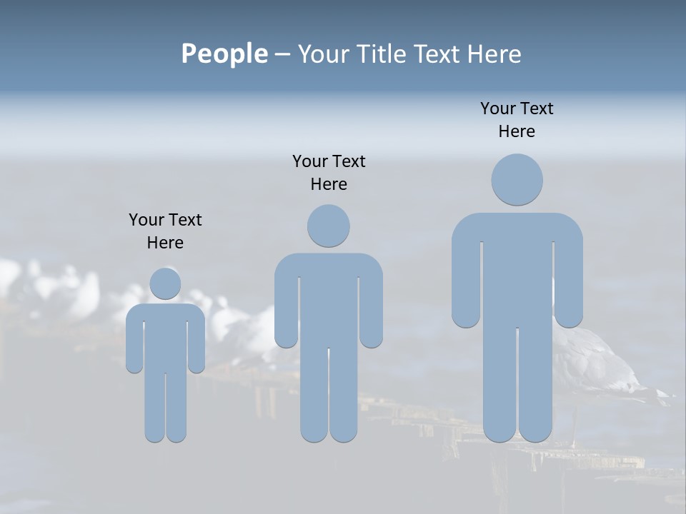 Blackheaded Beach Wooden PowerPoint Template