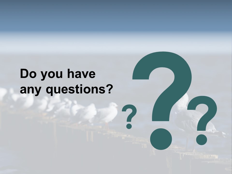 Blackheaded Beach Wooden PowerPoint Template