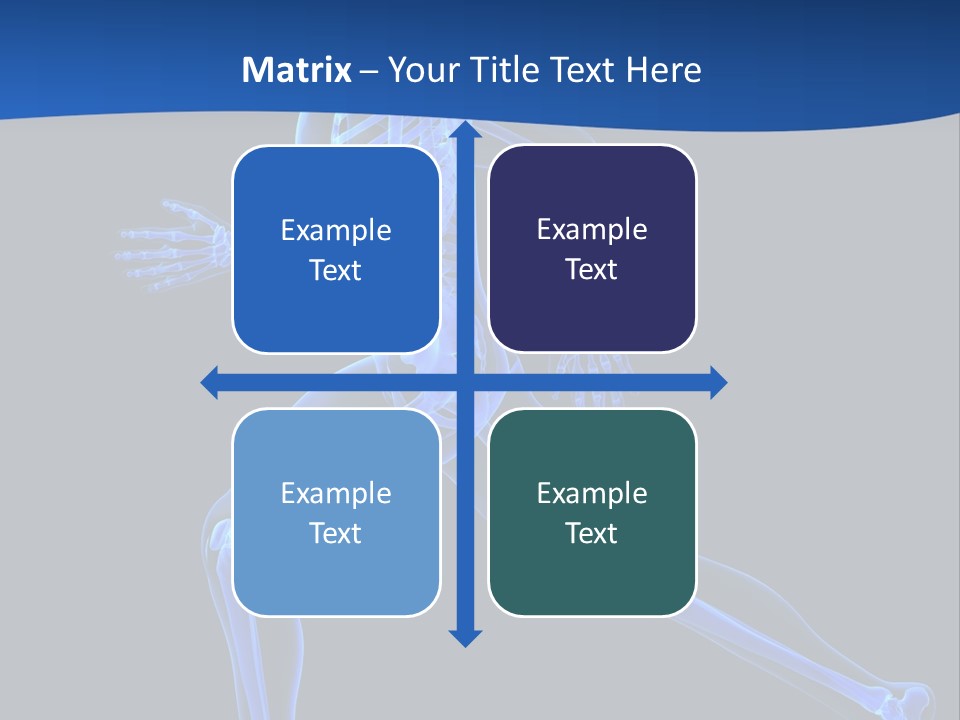 Skeletal Training Spine PowerPoint Template