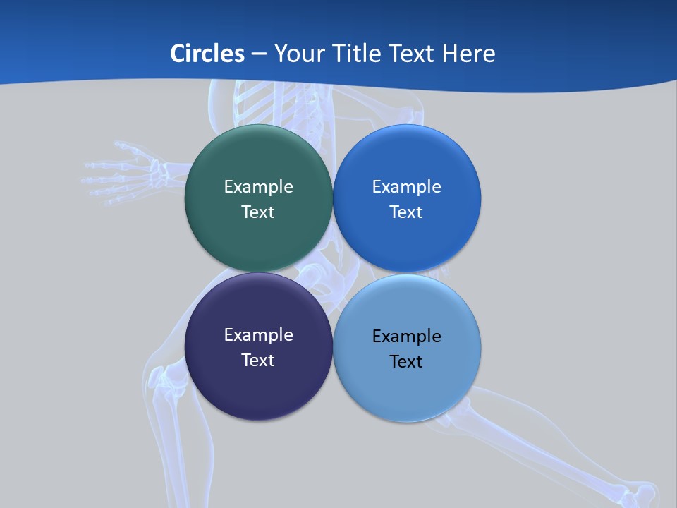 Skeletal Training Spine PowerPoint Template