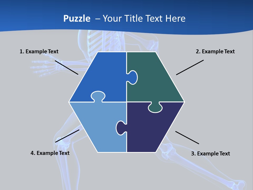 Skeletal Training Spine PowerPoint Template
