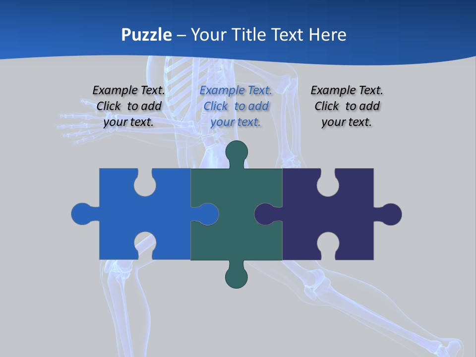 Skeletal Training Spine PowerPoint Template