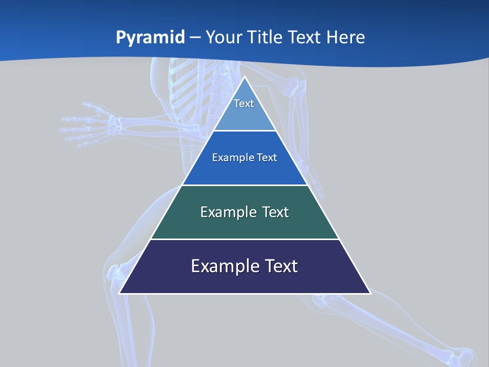 Skeletal Training Spine PowerPoint Template