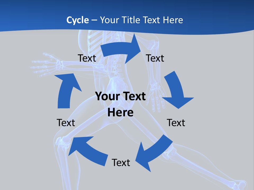 Skeletal Training Spine PowerPoint Template