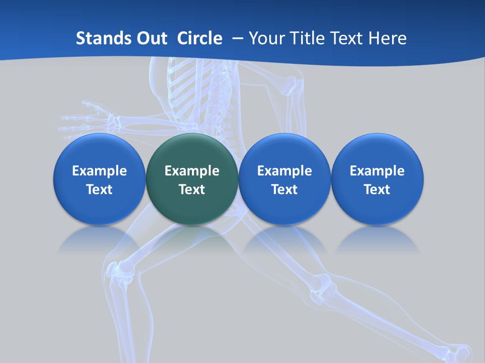 Skeletal Training Spine PowerPoint Template