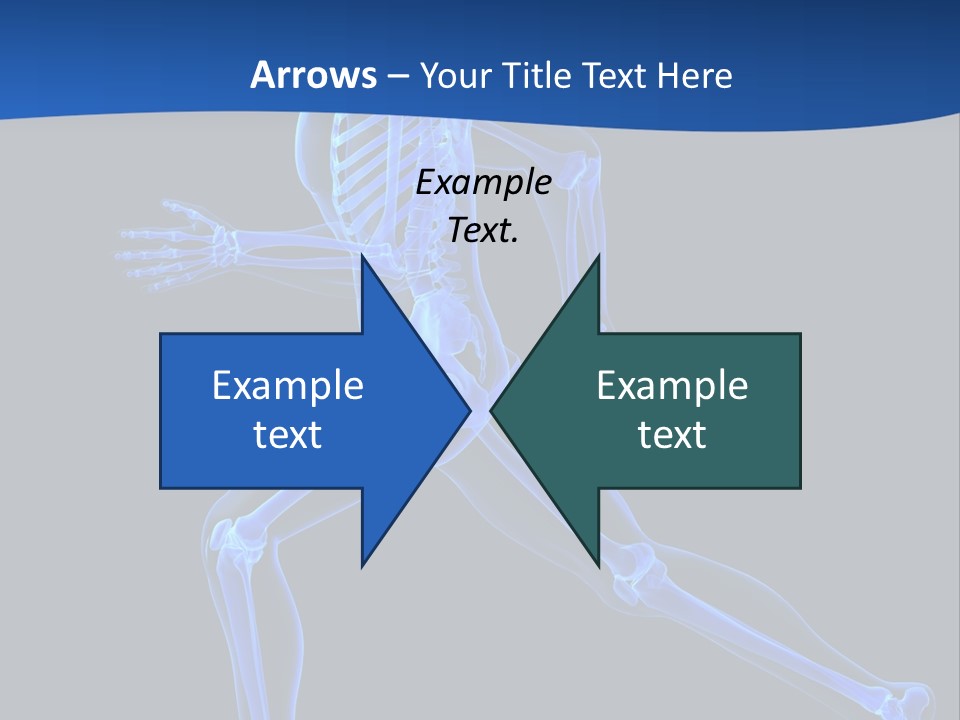 Skeletal Training Spine PowerPoint Template