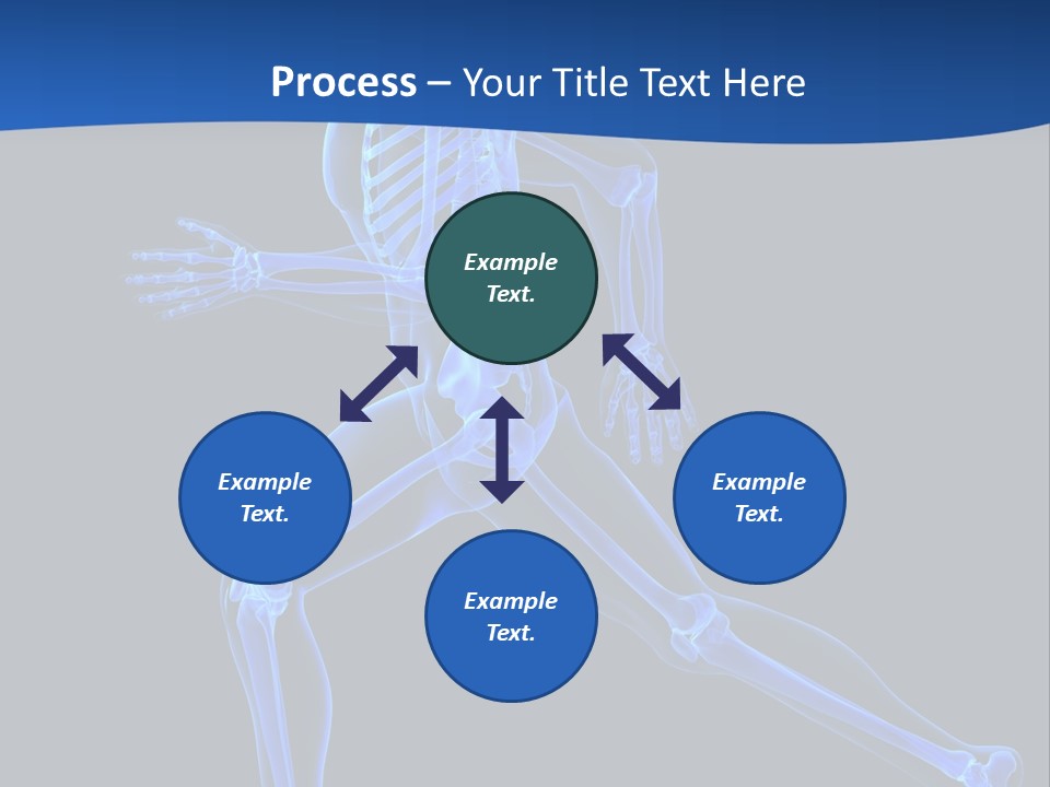 Skeletal Training Spine PowerPoint Template