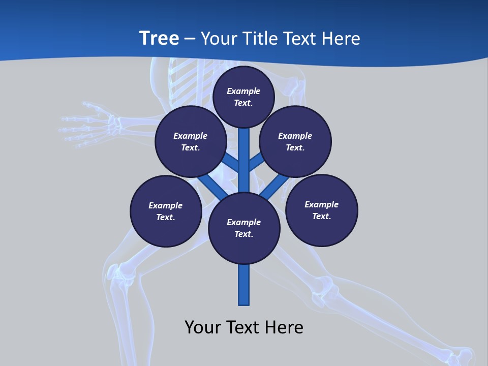 Skeletal Training Spine PowerPoint Template
