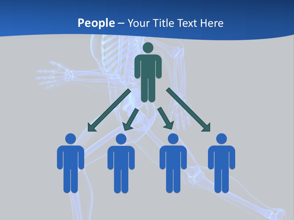 Skeletal Training Spine PowerPoint Template
