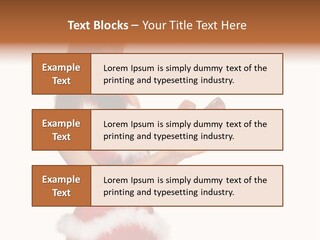 Lipstick Sexy Women PowerPoint Template