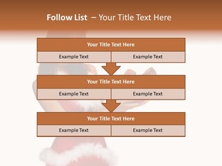 Lipstick Sexy Women PowerPoint Template