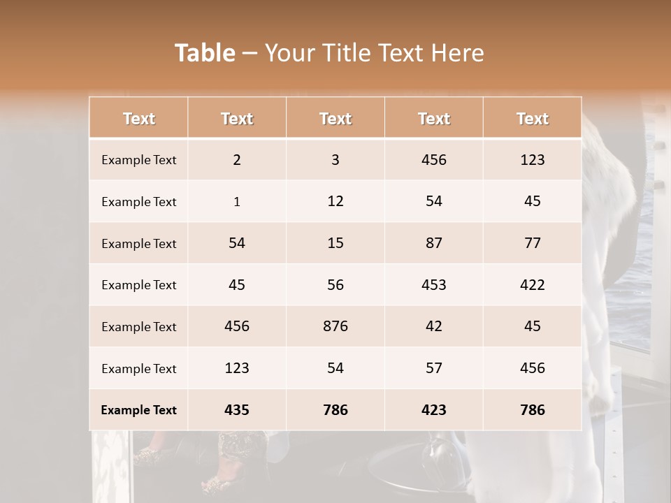 Fashion Young Woman PowerPoint Template