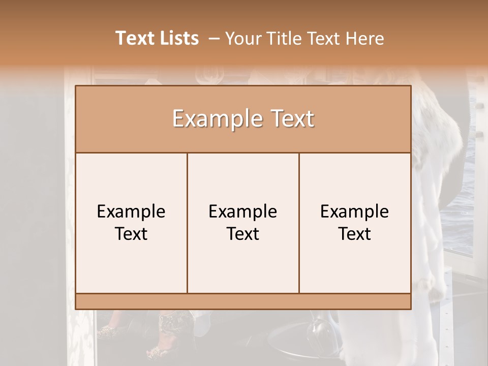 Fashion Young Woman PowerPoint Template