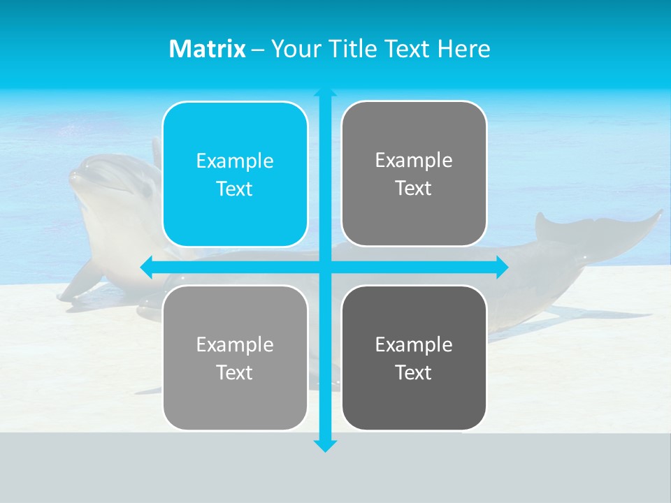 Creature Grey Mammal PowerPoint Template