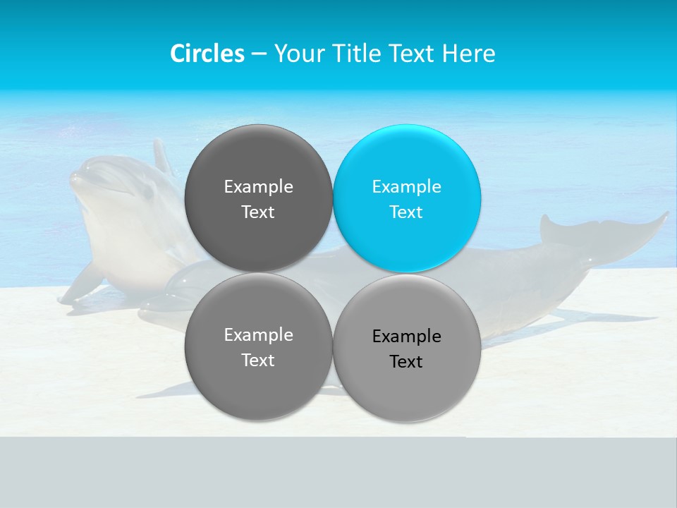 Creature Grey Mammal PowerPoint Template