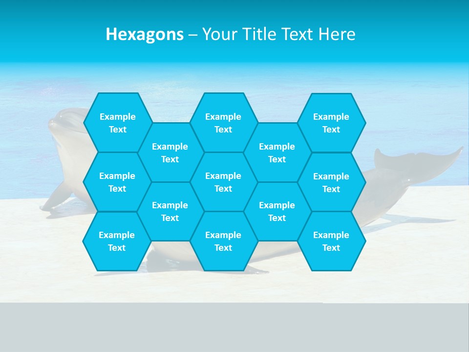 Creature Grey Mammal PowerPoint Template