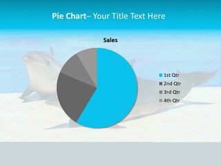 Creature Grey Mammal PowerPoint Template