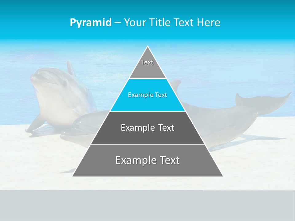 Creature Grey Mammal PowerPoint Template