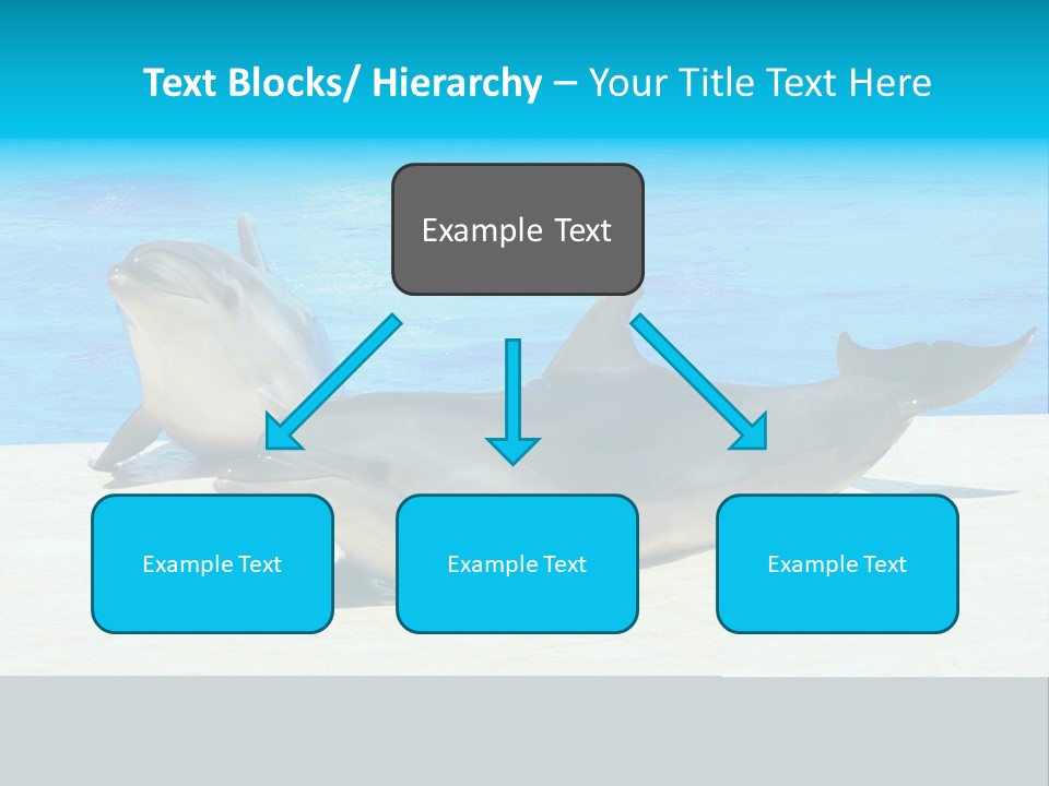 Creature Grey Mammal PowerPoint Template