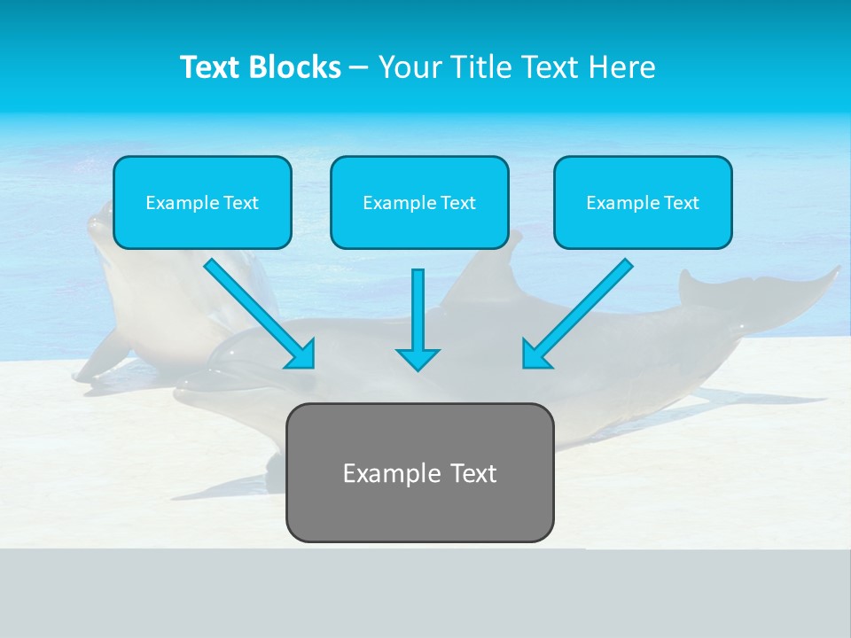 Creature Grey Mammal PowerPoint Template