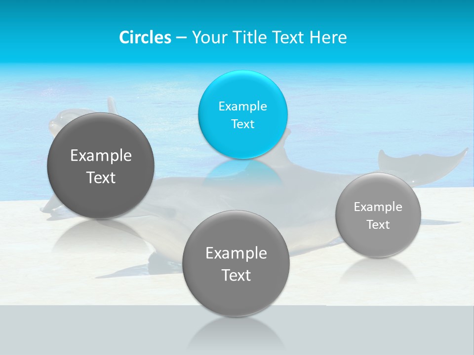 Creature Grey Mammal PowerPoint Template