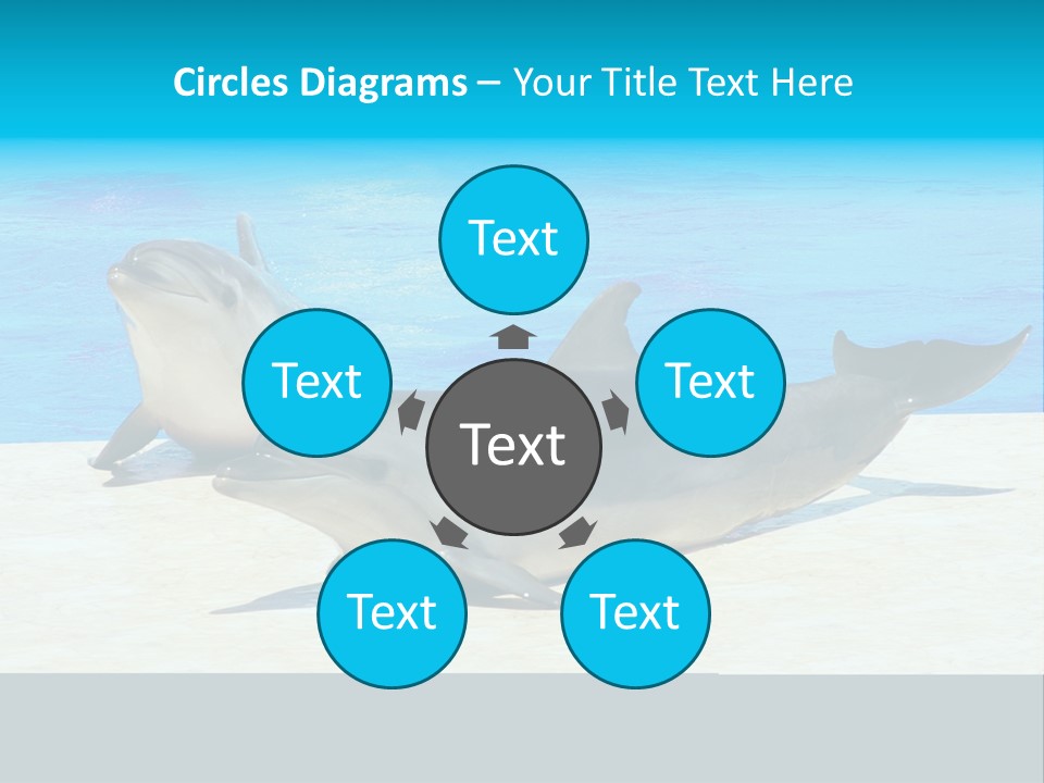 Creature Grey Mammal PowerPoint Template