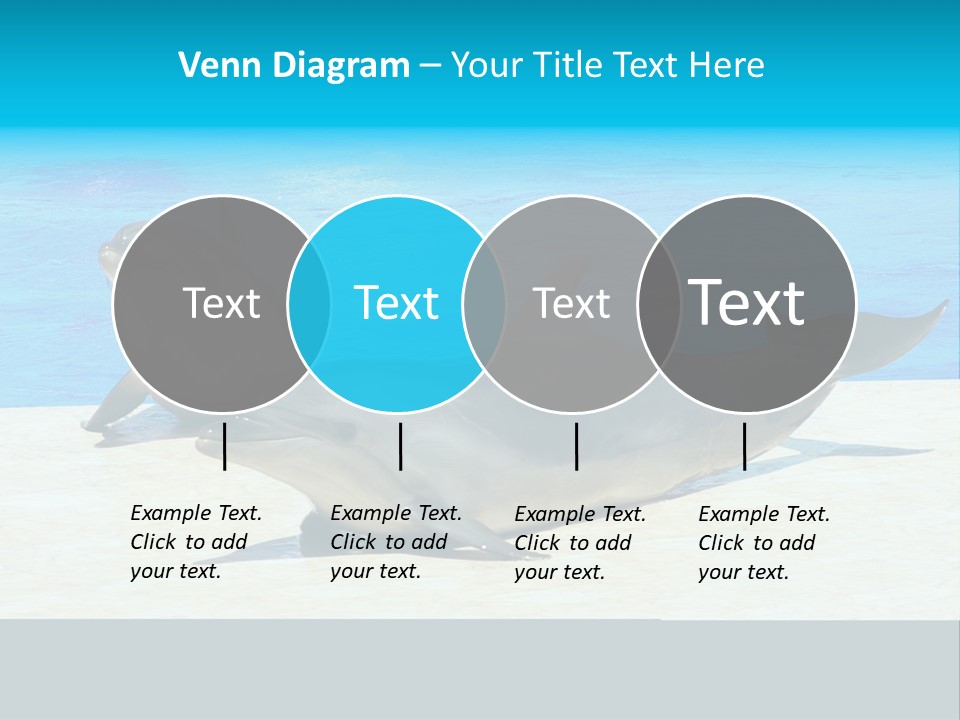 Creature Grey Mammal PowerPoint Template