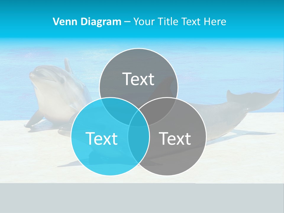 Creature Grey Mammal PowerPoint Template