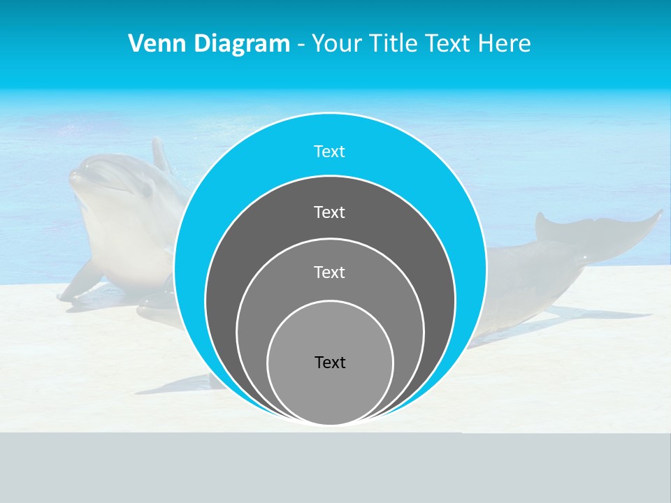 Creature Grey Mammal PowerPoint Template