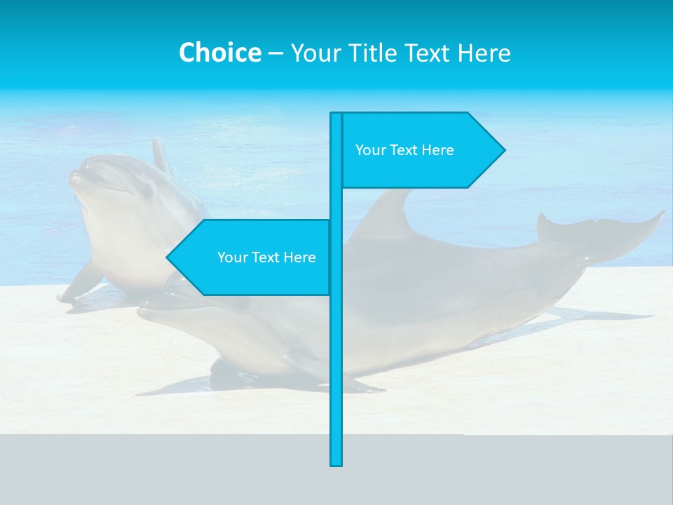 Creature Grey Mammal PowerPoint Template