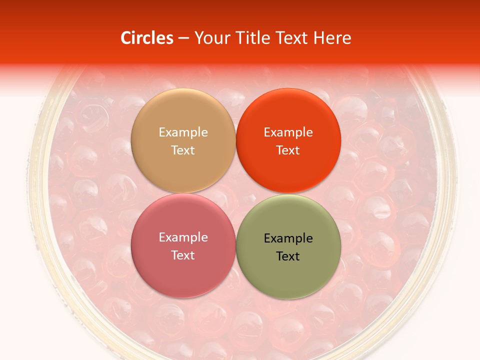 Group Copy Lunch PowerPoint Template