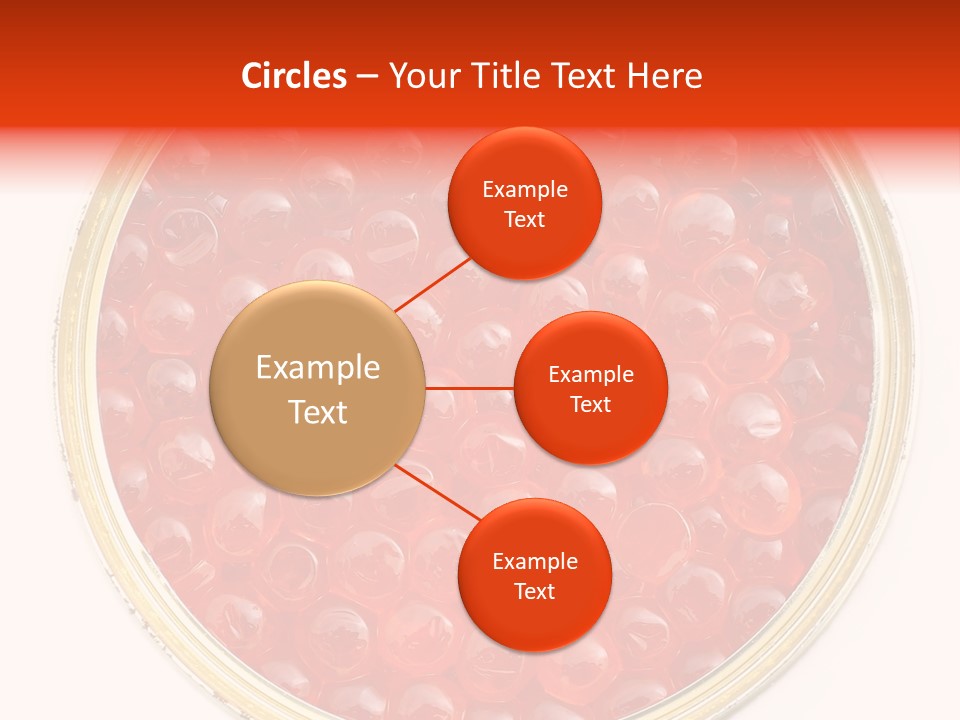 Group Copy Lunch PowerPoint Template