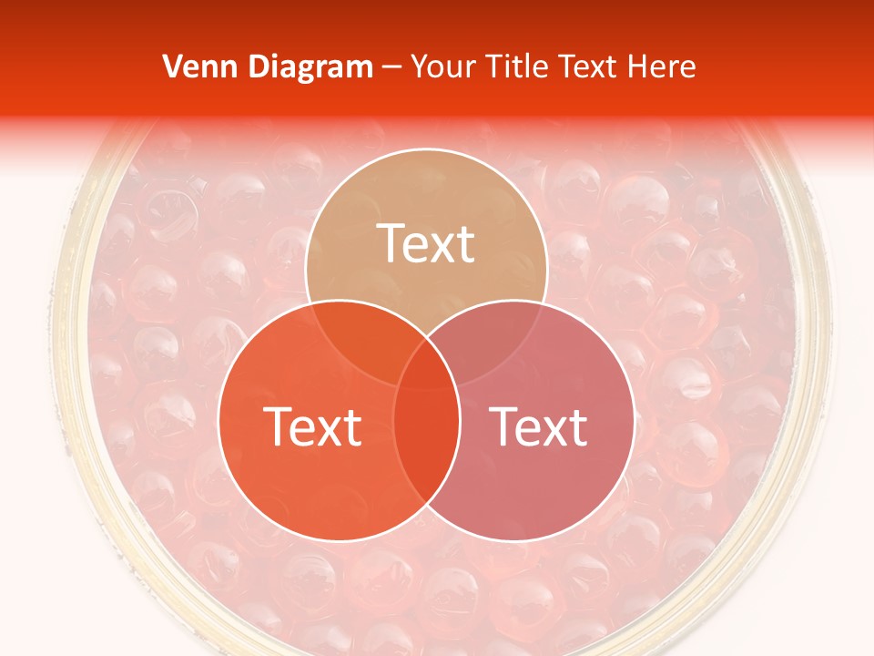 Group Copy Lunch PowerPoint Template