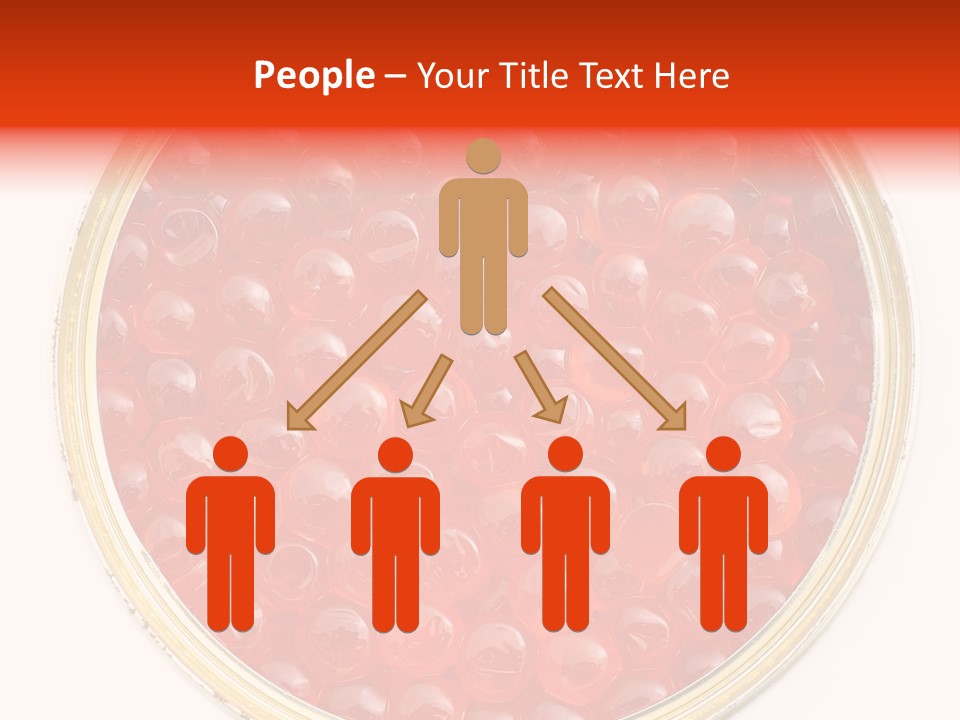 Group Copy Lunch PowerPoint Template