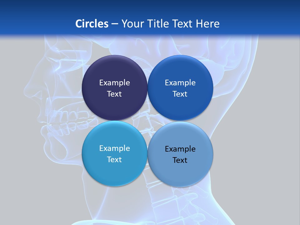 A Skeleton With A Blue Background Is Shown In This Powerpoint Presentation PowerPoint Template